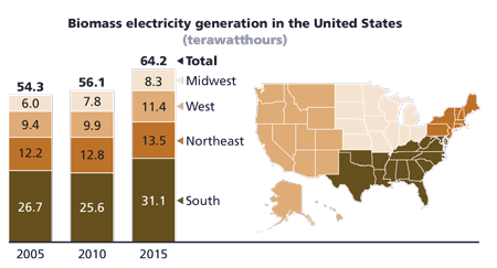 Biomass Energy in The Age Of Trump